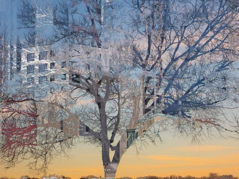 Untitled-10-©-Tom-Goodell