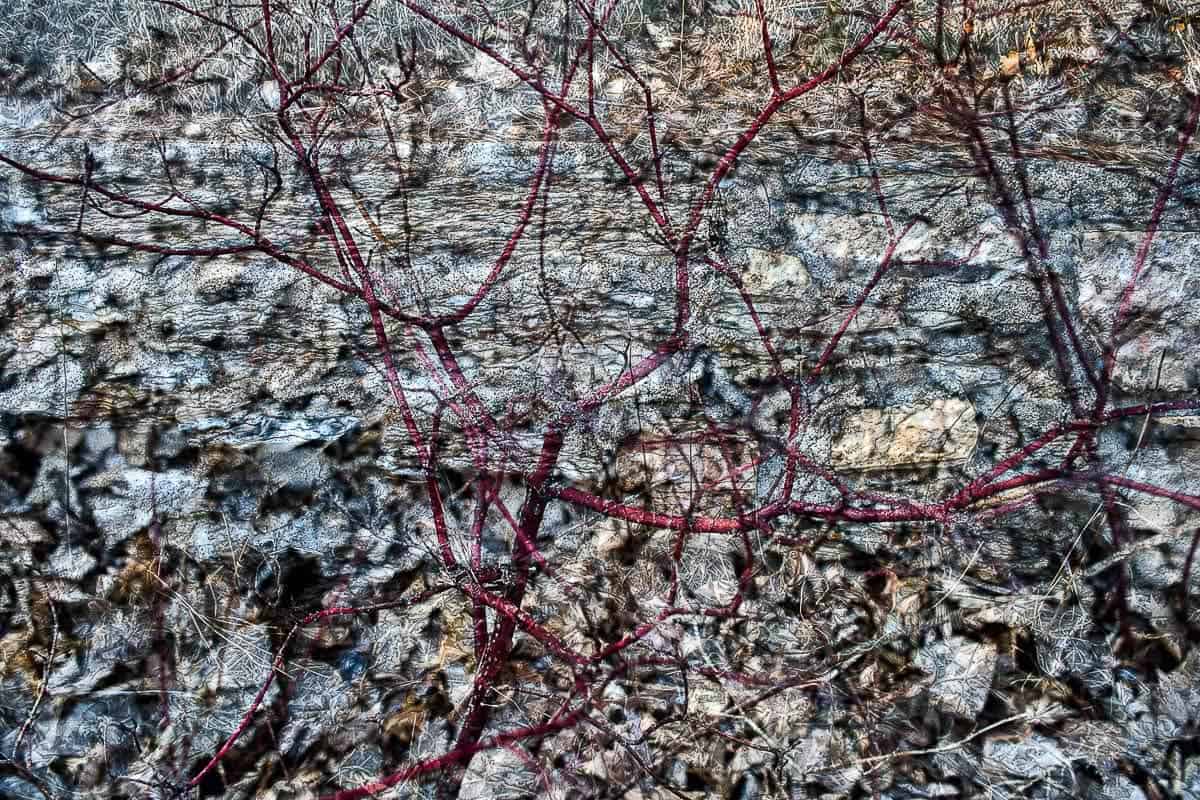 Untitled-30-©-Tom-Goodell