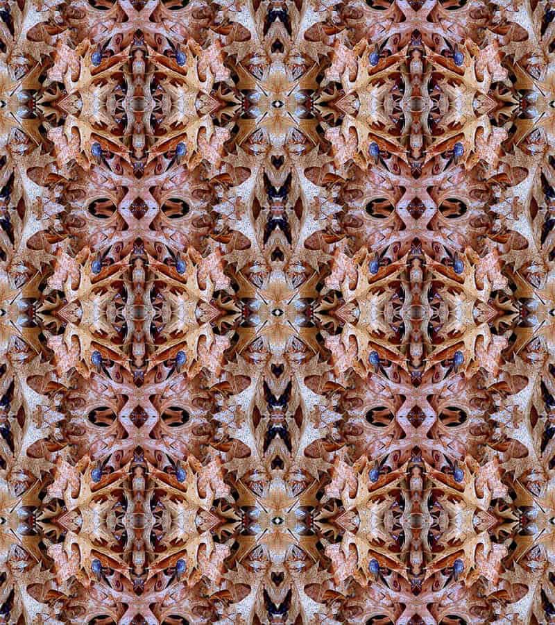 Untitled-35-©-Tom-Goodell