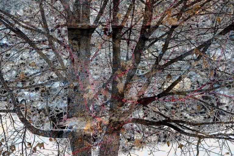 Untitled-37-©-Tom-Goodell