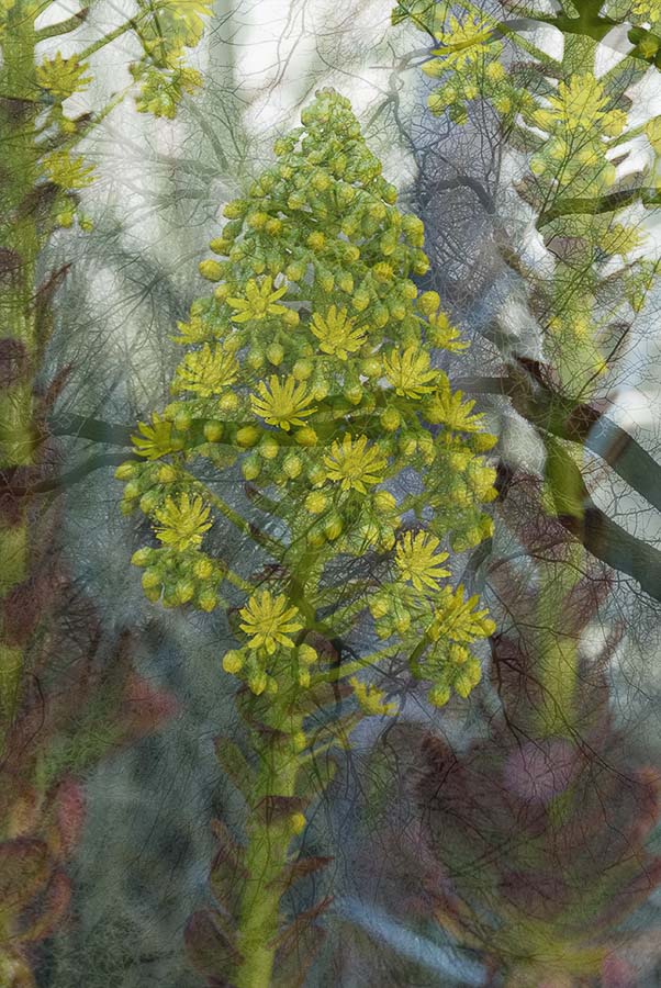 Untitled-40-©-Tom-Goodell