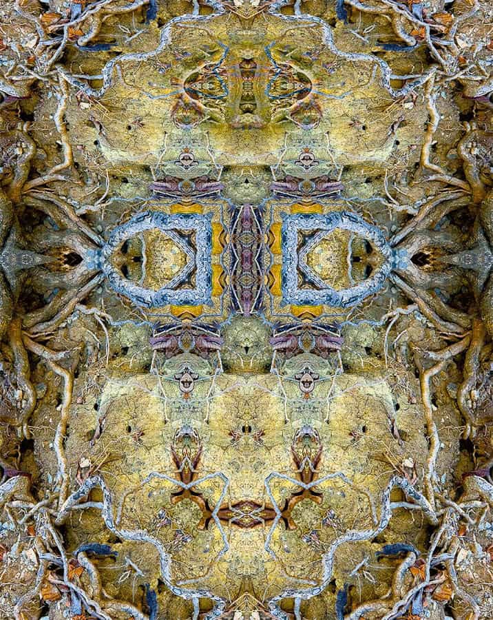 Untitled-48-©-Tom-Goodell